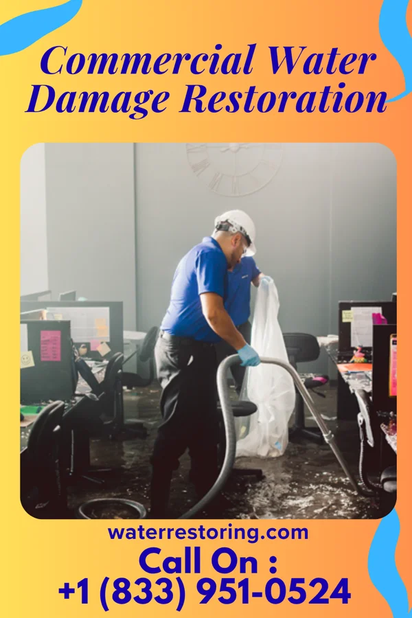 Commercial Water Damage Restoration in Eyota, MN