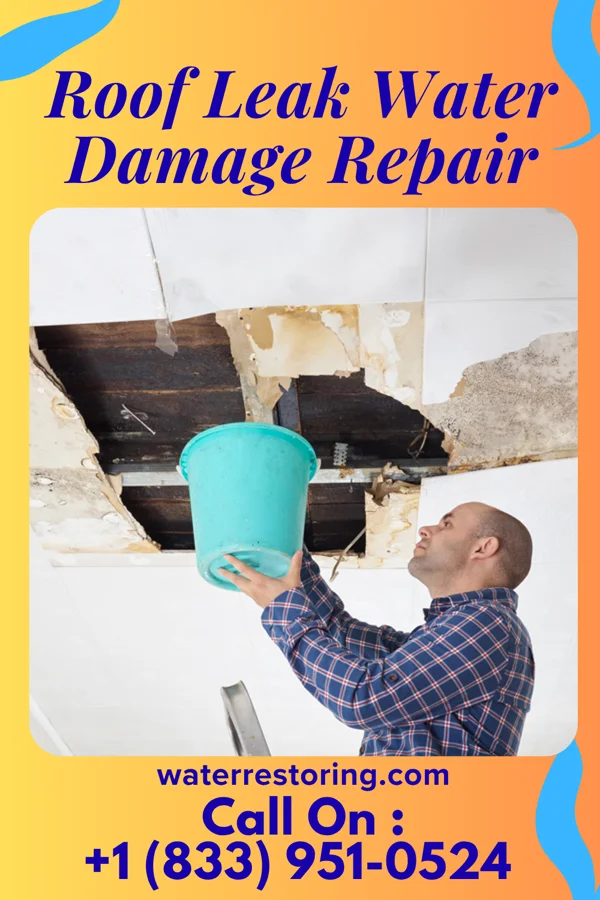 Roof Leak Water Damage Repair in Eyota, MN