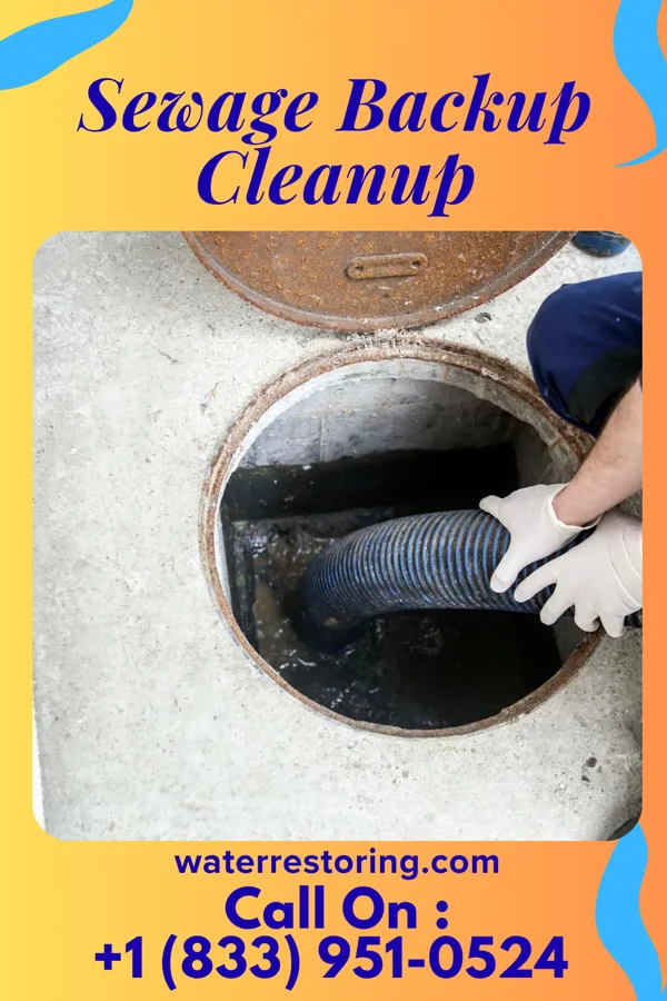 Sewage Backup Cleanup in Eyota, MN